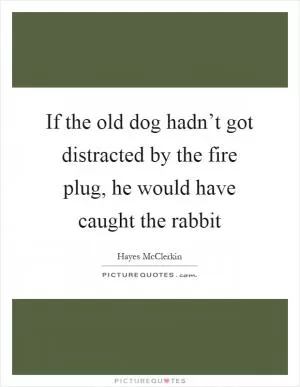If the old dog hadn’t got distracted by the fire plug, he would have caught the rabbit Picture Quote #1