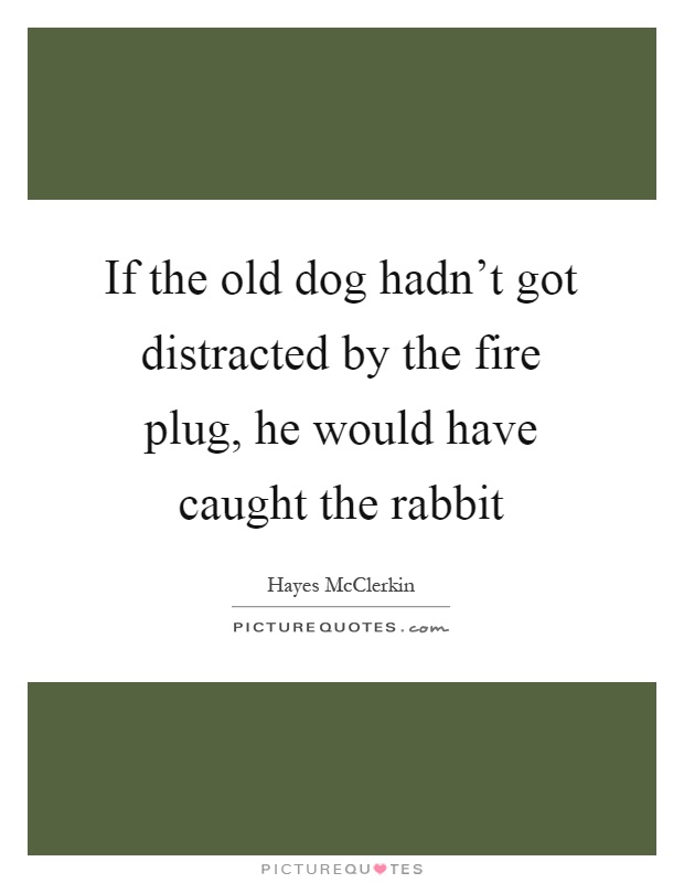 If the old dog hadn't got distracted by the fire plug, he would have caught the rabbit Picture Quote #1