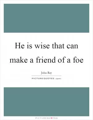 He is wise that can make a friend of a foe Picture Quote #1