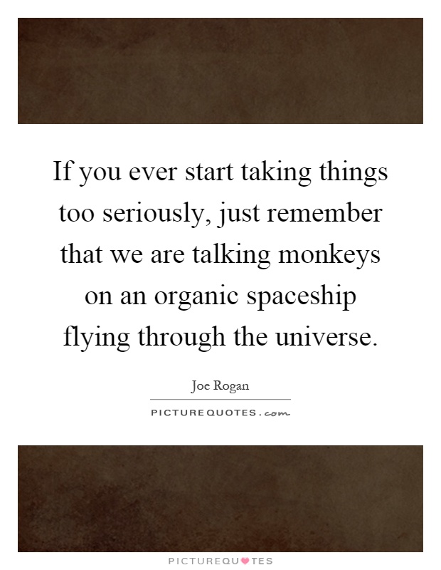 If you ever start taking things too seriously, just remember that we are talking monkeys on an organic spaceship flying through the universe Picture Quote #1