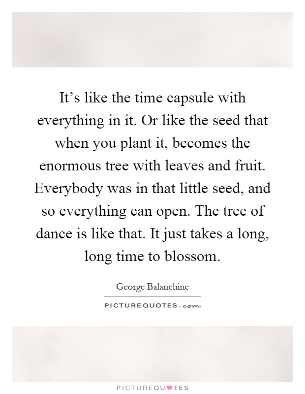 It's like the time capsule with everything in it. Or like the seed that when you plant it, becomes the enormous tree with leaves and fruit. Everybody was in that little seed, and so everything can open. The tree of dance is like that. It just takes a long, long time to blossom Picture Quote #1