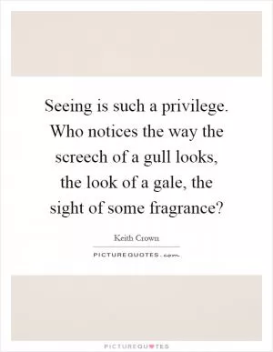 Seeing is such a privilege. Who notices the way the screech of a gull looks, the look of a gale, the sight of some fragrance? Picture Quote #1