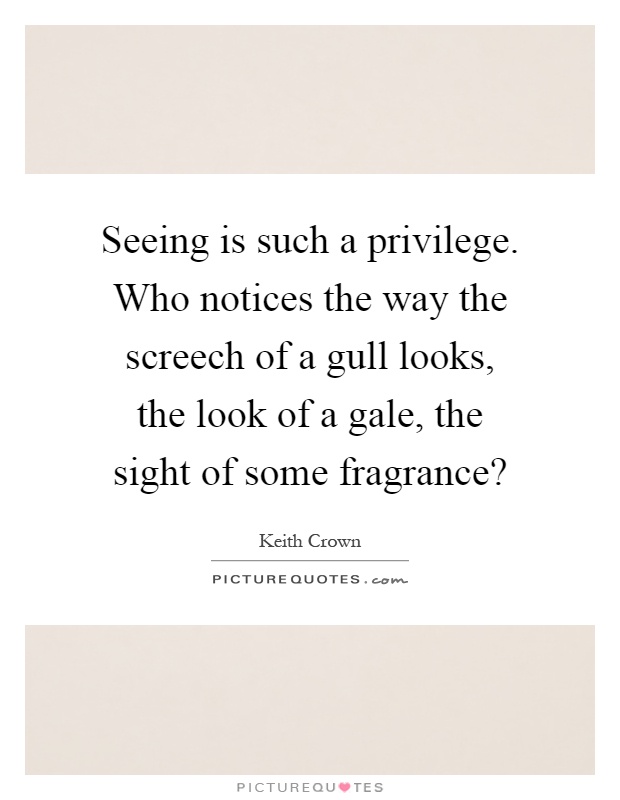 Seeing is such a privilege. Who notices the way the screech of a gull looks, the look of a gale, the sight of some fragrance? Picture Quote #1