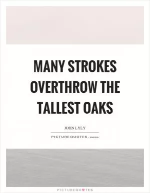 Many strokes overthrow the tallest oaks Picture Quote #1