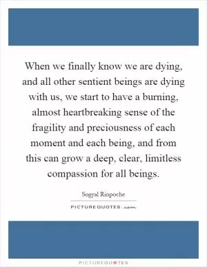When we finally know we are dying, and all other sentient beings are dying with us, we start to have a burning, almost heartbreaking sense of the fragility and preciousness of each moment and each being, and from this can grow a deep, clear, limitless compassion for all beings Picture Quote #1