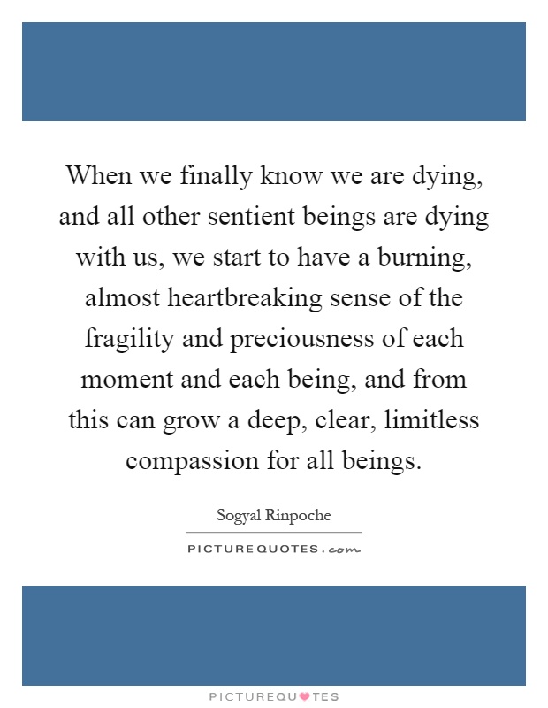 When we finally know we are dying, and all other sentient beings are dying with us, we start to have a burning, almost heartbreaking sense of the fragility and preciousness of each moment and each being, and from this can grow a deep, clear, limitless compassion for all beings Picture Quote #1