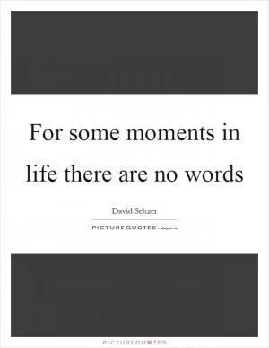 For some moments in life there are no words Picture Quote #1