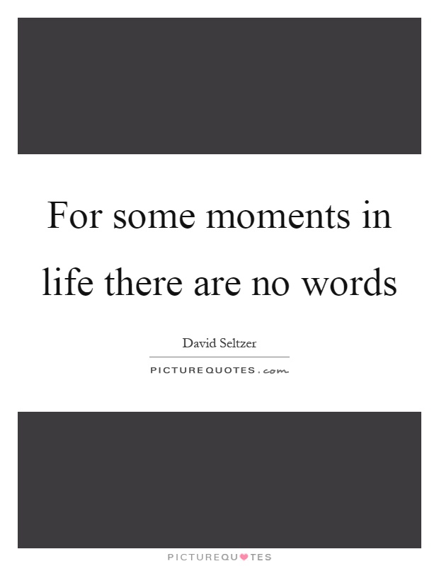 For some moments in life there are no words Picture Quote #1