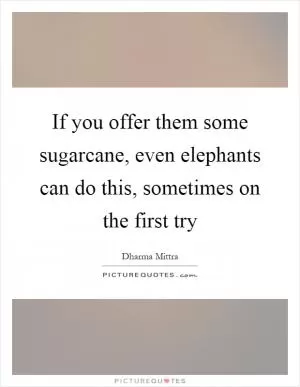 If you offer them some sugarcane, even elephants can do this, sometimes on the first try Picture Quote #1