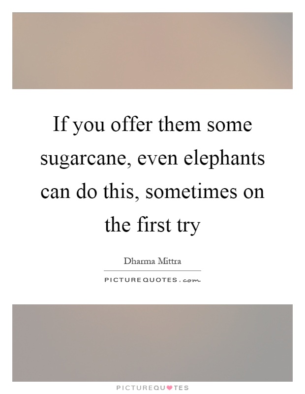 If you offer them some sugarcane, even elephants can do this, sometimes on the first try Picture Quote #1