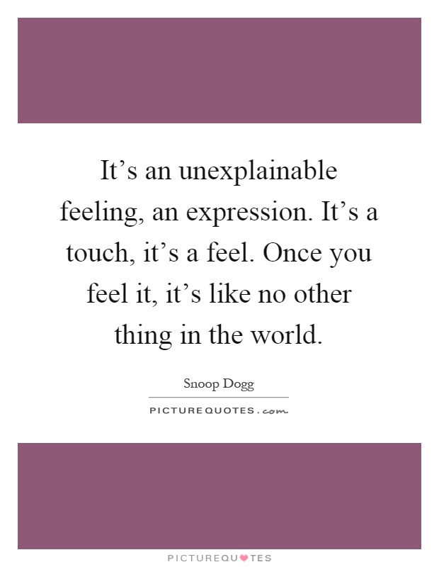 It's an unexplainable feeling, an expression. It's a touch, it's a feel. Once you feel it, it's like no other thing in the world Picture Quote #1