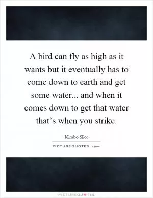 A bird can fly as high as it wants but it eventually has to come down to earth and get some water... and when it comes down to get that water that’s when you strike Picture Quote #1