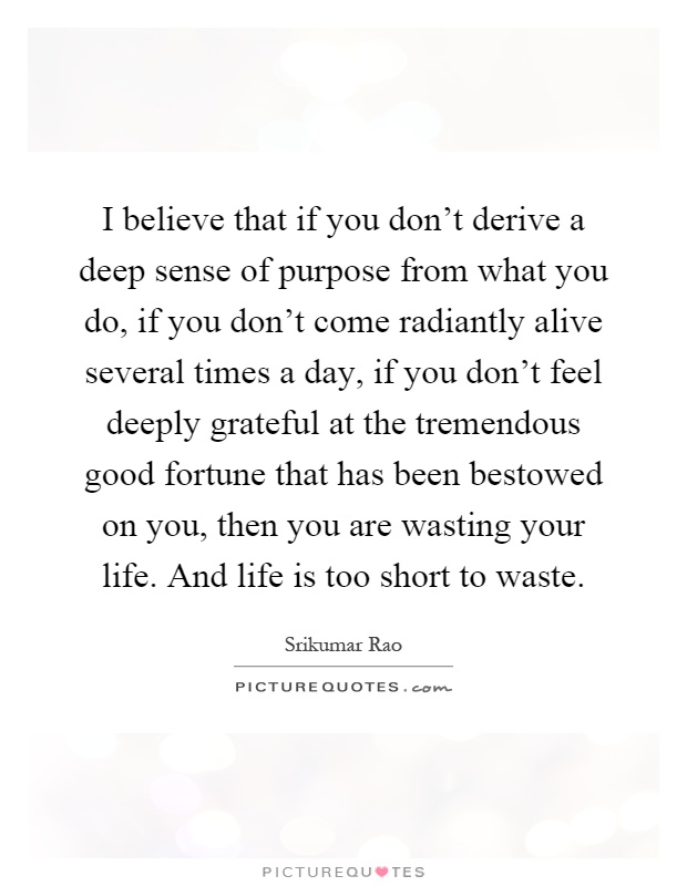 I believe that if you don't derive a deep sense of purpose from what you do, if you don't come radiantly alive several times a day, if you don't feel deeply grateful at the tremendous good fortune that has been bestowed on you, then you are wasting your life. And life is too short to waste Picture Quote #1