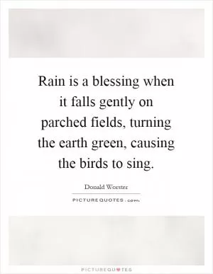 Rain is a blessing when it falls gently on parched fields, turning the earth green, causing the birds to sing Picture Quote #1