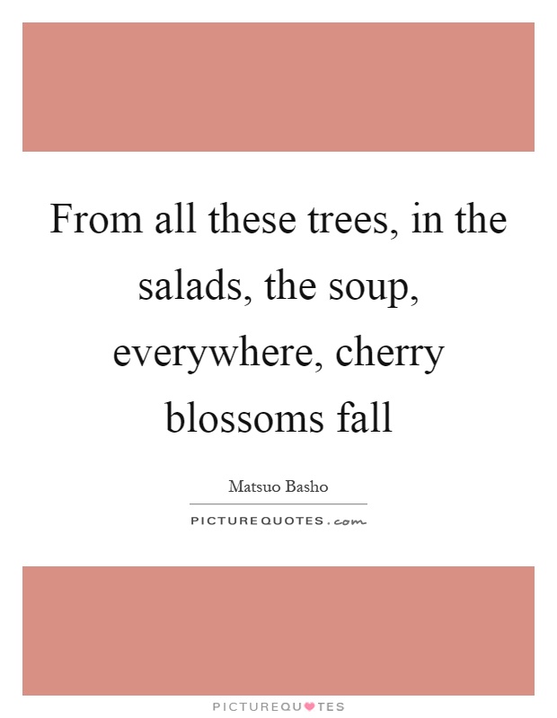 From all these trees, in the salads, the soup, everywhere, cherry blossoms fall Picture Quote #1