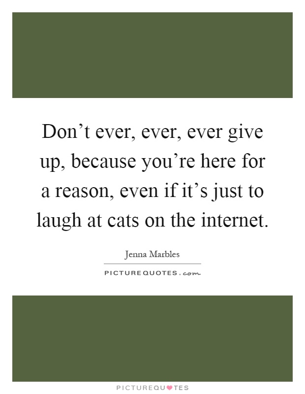 Don't ever, ever, ever give up, because you're here for a reason, even if it's just to laugh at cats on the internet Picture Quote #1