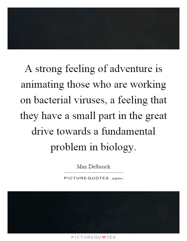 A strong feeling of adventure is animating those who are working on bacterial viruses, a feeling that they have a small part in the great drive towards a fundamental problem in biology Picture Quote #1