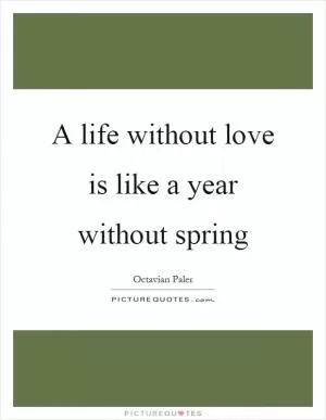 A life without love is like a year without spring Picture Quote #1