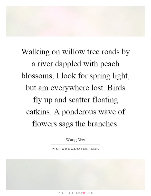 Walking on willow tree roads by a river dappled with peach blossoms, I look for spring light, but am everywhere lost. Birds fly up and scatter floating catkins. A ponderous wave of flowers sags the branches Picture Quote #1