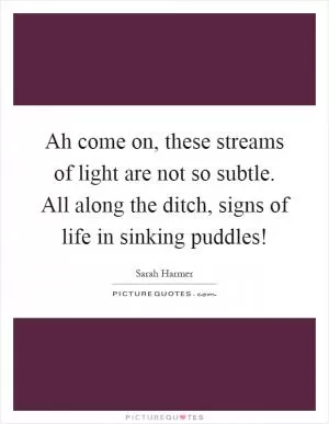Ah come on, these streams of light are not so subtle. All along the ditch, signs of life in sinking puddles! Picture Quote #1
