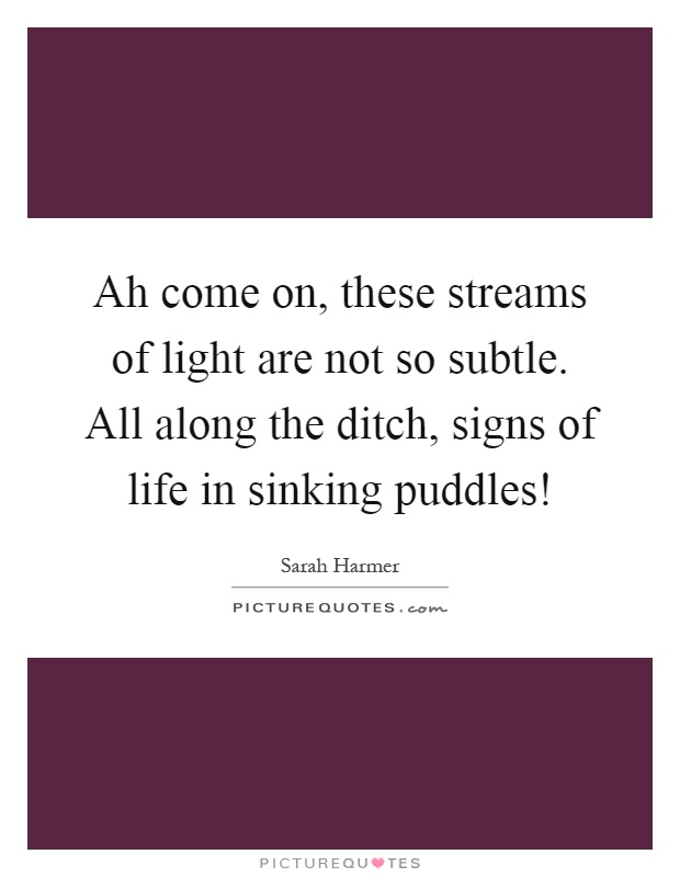 Ah come on, these streams of light are not so subtle. All along the ditch, signs of life in sinking puddles! Picture Quote #1