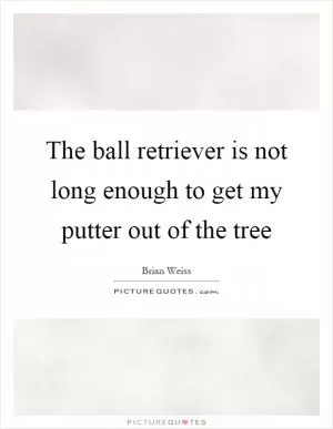 The ball retriever is not long enough to get my putter out of the tree Picture Quote #1