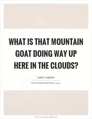 What is that mountain goat doing way up here in the clouds? Picture Quote #1