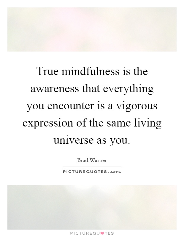 True mindfulness is the awareness that everything you encounter is a vigorous expression of the same living universe as you Picture Quote #1