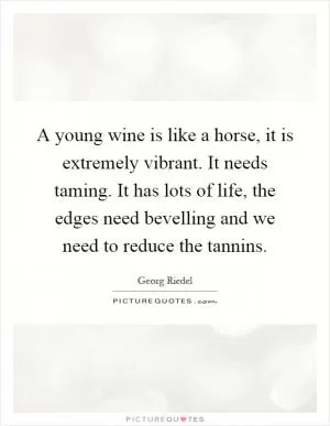 A young wine is like a horse, it is extremely vibrant. It needs taming. It has lots of life, the edges need bevelling and we need to reduce the tannins Picture Quote #1