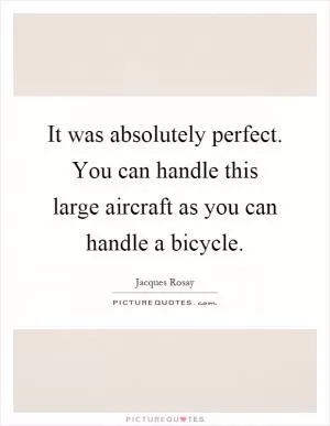 It was absolutely perfect. You can handle this large aircraft as you can handle a bicycle Picture Quote #1