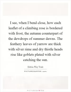 I see, when I bend close, how each leaflet of a climbing rose is bordered with frost, the autumn counterpart of the dewdrops of summer dawns. The feathery leaves of yarrow are thick with silver rime and dry thistle heads rise like goblets plated with silver catching the sun Picture Quote #1