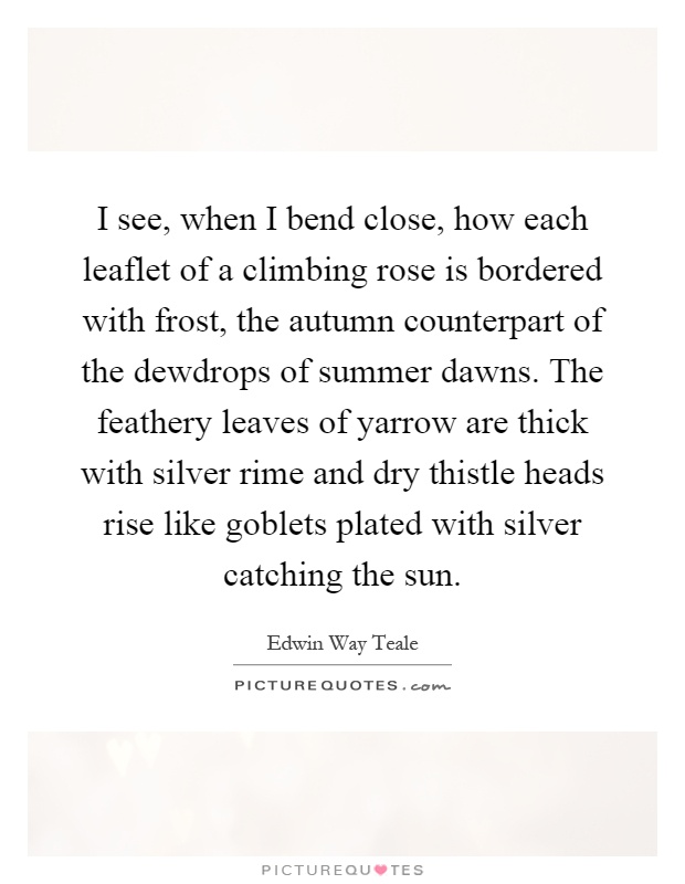 I see, when I bend close, how each leaflet of a climbing rose is bordered with frost, the autumn counterpart of the dewdrops of summer dawns. The feathery leaves of yarrow are thick with silver rime and dry thistle heads rise like goblets plated with silver catching the sun Picture Quote #1