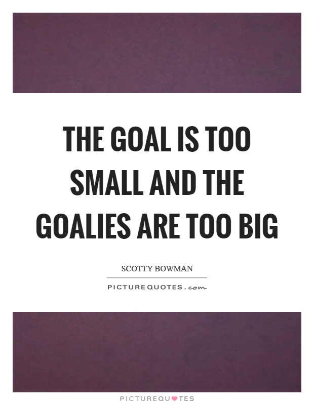 The goal is too small and the goalies are too big Picture Quote #1