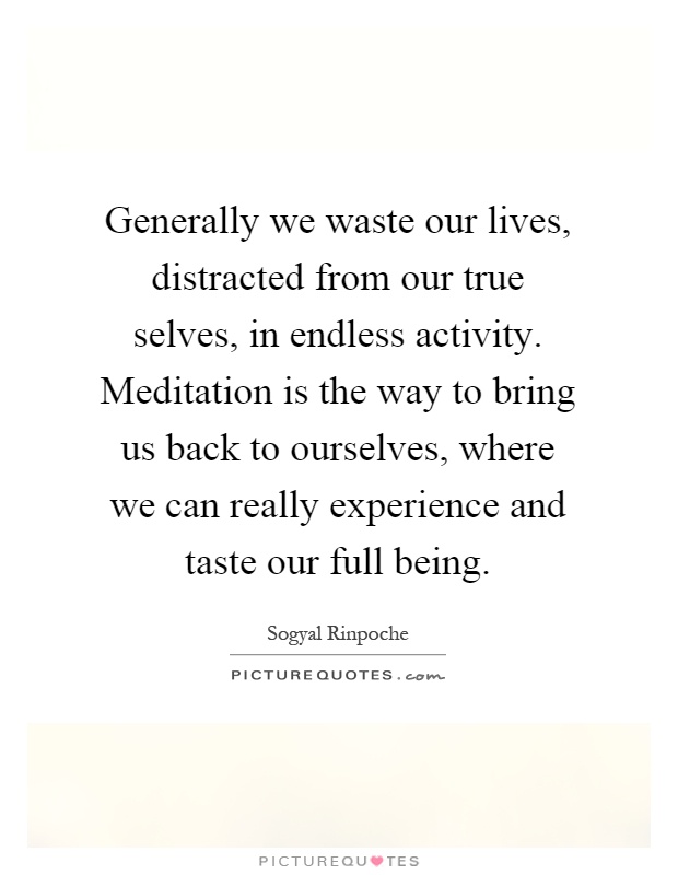 Generally we waste our lives, distracted from our true selves, in endless activity. Meditation is the way to bring us back to ourselves, where we can really experience and taste our full being Picture Quote #1
