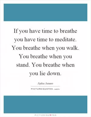 If you have time to breathe you have time to meditate. You breathe when you walk. You breathe when you stand. You breathe when you lie down Picture Quote #1