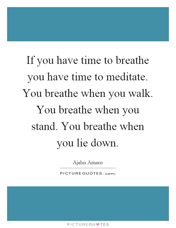 If you have time to breathe you have time to meditate. You breathe when you walk. You breathe when you stand. You breathe when you lie down Picture Quote #1