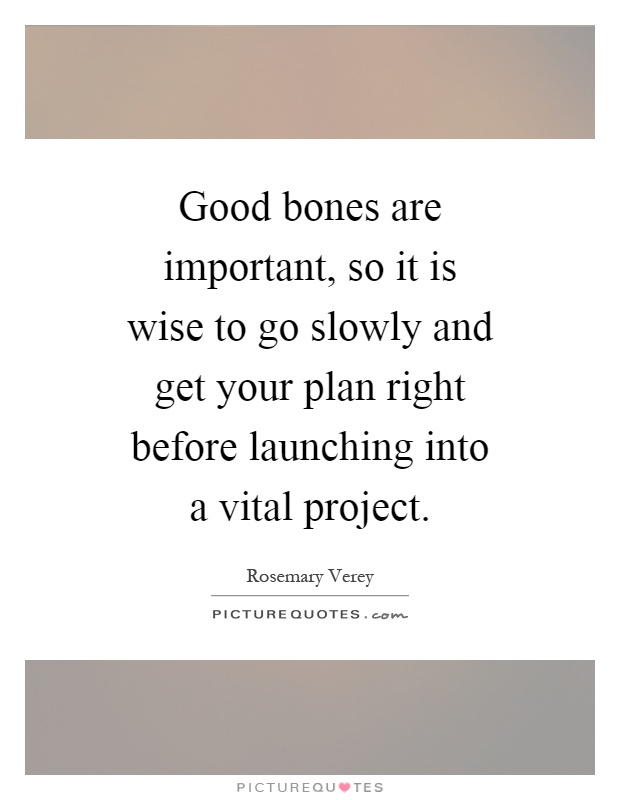 Good bones are important, so it is wise to go slowly and get your plan right before launching into a vital project Picture Quote #1