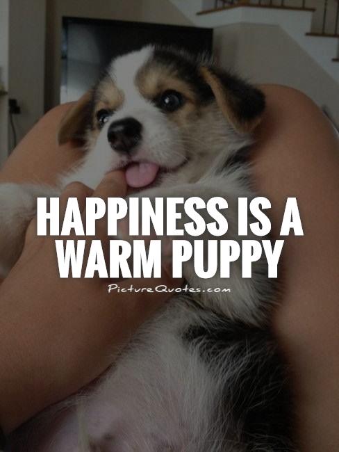 Happiness is a warm puppy Picture Quote #1