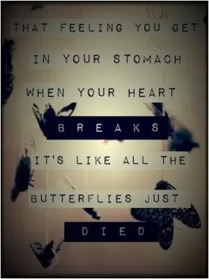 That feeling you get in your stomach when your heart beaks, it's like all the butterflies just died Picture Quote #1