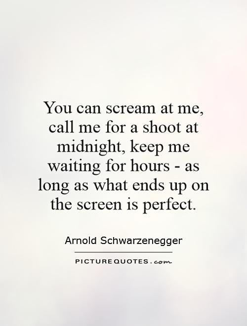 You can scream at me, call me for a shoot at midnight, keep me waiting for hours - as long as what ends up on the screen is perfect Picture Quote #1