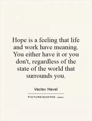 Hope is a feeling that life and work have meaning. You either have it or you don't, regardless of the state of the world that surrounds you Picture Quote #1