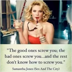 The good ones screw you; the bad ones screw you... and the rest don't know how to screw you Picture Quote #1