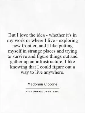 But I love the idea - whether it's in my work or where I live - exploring new frontier, and I like putting myself in strange places and trying to survive and figure things out and gather up an infrastructure. I like knowing that I could figure out a way to live anywhere Picture Quote #1
