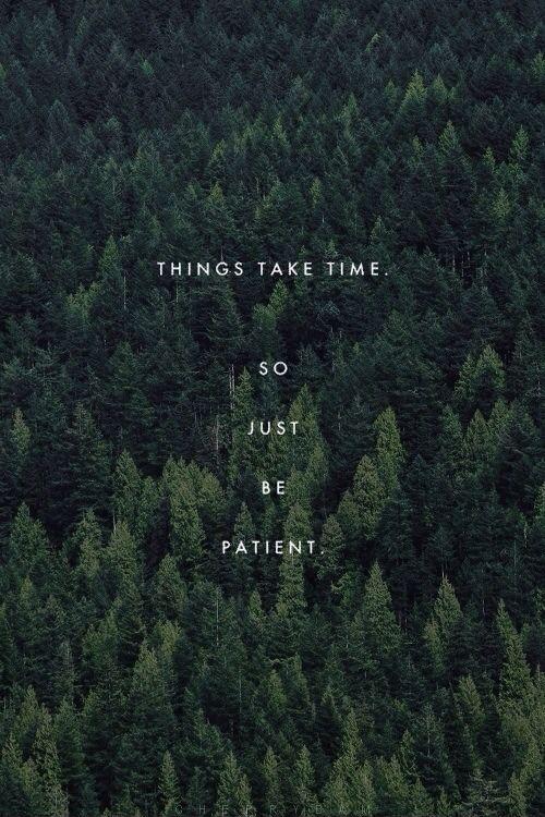 Things take time, so just be patient Picture Quote #1