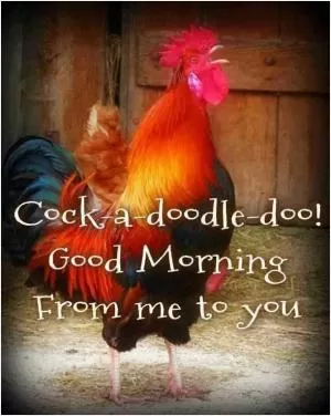Chicken Quotes | Chicken Sayings | Chicken Picture Quotes