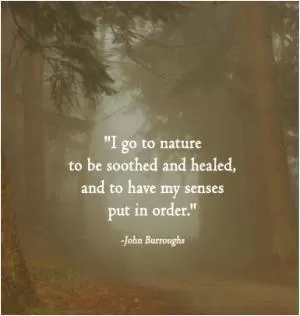 I go to nature to be soothed and healed, and to have my senses put in order Picture Quote #1