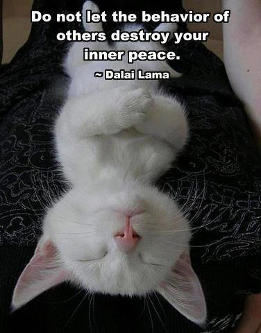 Do not let the behavior of others destroy your inner peace Picture Quote #1