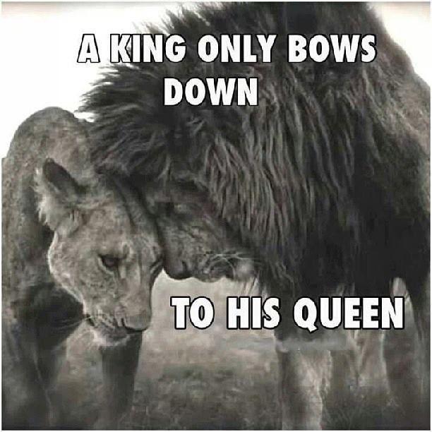 A king only bows down to his queen Picture Quote #1