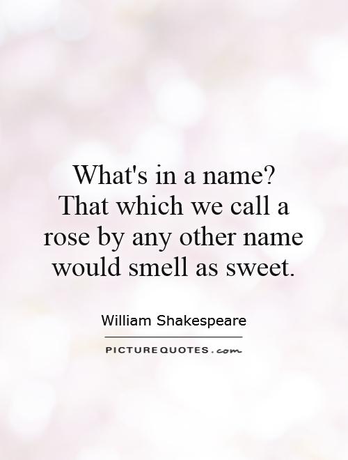 What's in a name?  That which we call a rose by any other name would smell as sweet Picture Quote #1