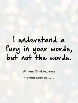 I understand a fury in your words, but not the words Picture Quote #1